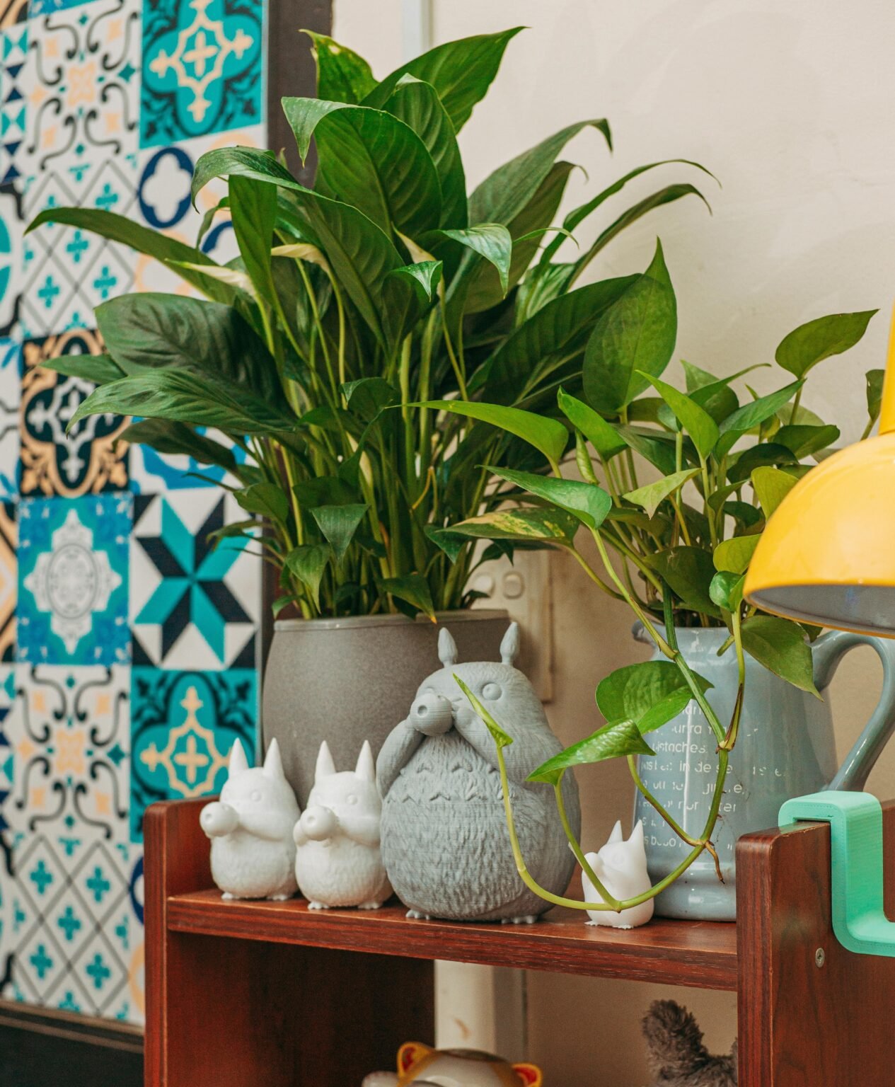how to decorate money plant