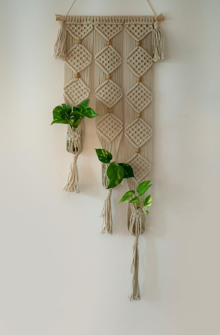 how to decorate money plant