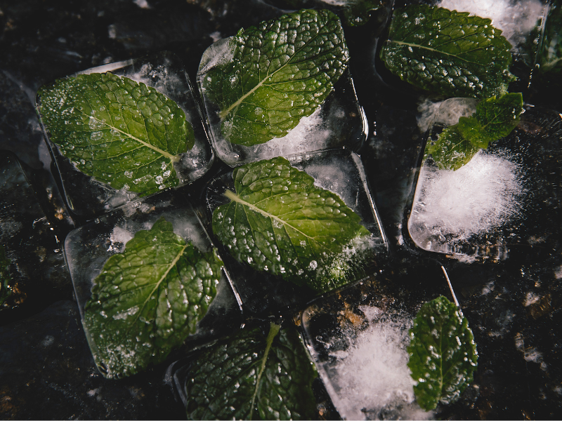 mint ice Qube