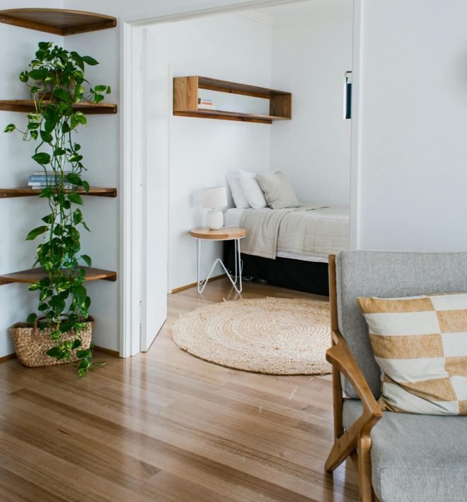Planter in the Cornet Corner Shelf with Money plant